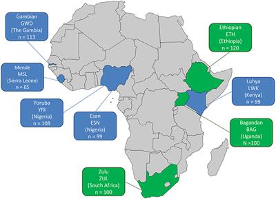 Potential Impact of DPYD Variation on Fluoropyrimidine Drug Response in sub-Saharan African Populations